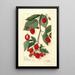 Rubus - Amanda Almira Newton — gerahmtes Bild an der Wand