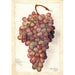 Vitis Angelina - Amanda Almira Newton — Ansicht des Kunstwerks