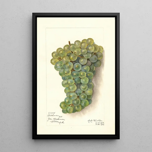 Reproduktion des Gemäldes Vitis Backman - Amanda Almira Newton
