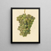 Vitis Ontario - Amanda Almira Newton — gerahmtes Bild an der Wand
