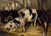 Stall - Anders Askevold — Ansicht des Kunstwerks