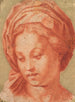 La Madone Borghèse - Andrea del Sarto — Ansicht des Kunstwerks