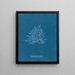 Rose de Callithamnion - Anna Atkins — gerahmtes Bild an der Wand