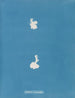 Calothrix cresswelliae - Anna Atkins — Ansicht des Kunstwerks