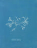 Keramik-Gemälde mit Zilien - Anna Atkins — Ansicht des Kunstwerks