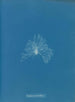 Eine wasserdichte Keramik - Anna Atkins — Ansicht des Kunstwerks