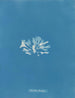 Chondrus brodii - Anna Atkins — Ansicht des Kunstwerks