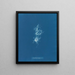 Chondrus crispus var. - Anna Atkins — gerahmtes Bild an der Wand