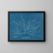 Chordaria flagelliformis - Anna Atkins — gerahmtes Bild an der Wand