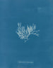 Chylocladia articulé - Anna Atkins — Ansicht des Kunstwerks