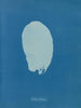 Bourse codique - Anna Atkins — Ansicht des Kunstwerks