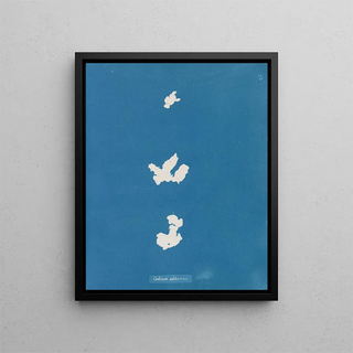 Anna Atkins - Codium adhaerens.webp