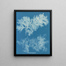 Vergleichs-Gemälde dünn - Anna Atkins — gerahmtes Bild an der Wand