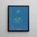 Korallen-Skalen - Anna Atkins — gerahmtes Bild an der Wand
