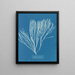 Couverts multifida - Anna Atkins — gerahmtes Bild an der Wand