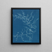 Cystoseira fibrosa - Anna Atkins — gerahmtes Bild an der Wand