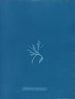 Ectocarpus brachiatus - Anna Atkins — Ansicht des Kunstwerks