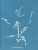 Enteromorpha ramulosa - Anna Atkins — Ansicht des Kunstwerks