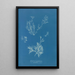 Reproduktion des Gemäldes Exilaria crystallinum parasitique - Anna Atkins