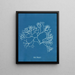 Fucus Machaii - Anna Atkins — gerahmtes Bild an der Wand