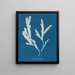 Lame de scie - Anna Atkins — gerahmtes Bild an der Wand