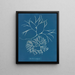 Furcellaria fastigiata - Anna Atkins — gerahmtes Bild an der Wand