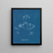 Gelures cornéennes - Anna Atkins — gerahmtes Bild an der Wand