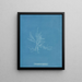Gloiosiphonia capillaris - Anna Atkins — gerahmtes Bild an der Wand