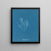 Griffithsia corallina - Anna Atkins — gerahmtes Bild an der Wand