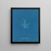 Mesogloia mutifida - Anna Atkins — gerahmtes Bild an der Wand