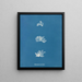 Schizonema comoides - Anna Atkins — gerahmtes Bild an der Wand