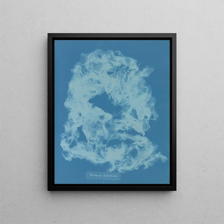 Anna Atkins - Vaucheria dichotoma.webp