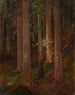 Wald - Anna Berent — Ansicht des Kunstwerks