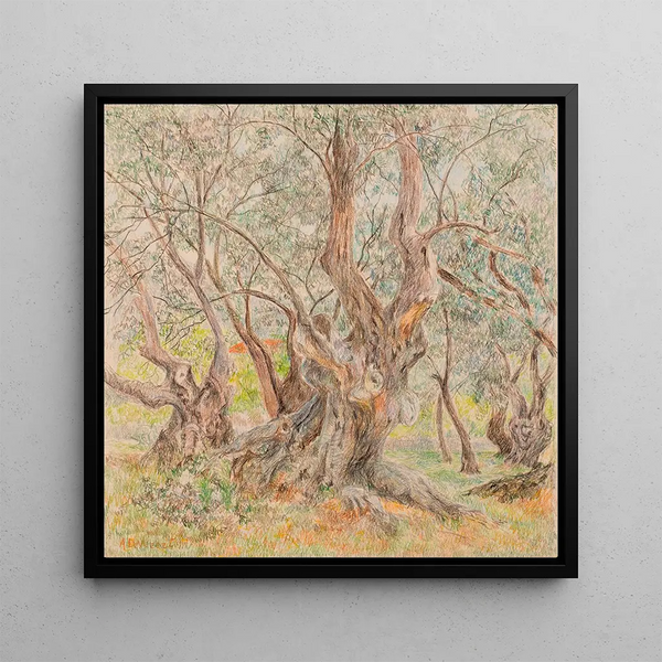 Anna De Weert - Oude olijfbomen.webp