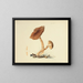 Illustrationen der britischen Mykologie Pl72 - Anna Maria Hussey — gerahmtes Bild an der Wand