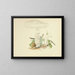 Illustrationen der britischen Mykologie Pl85 - Anna Maria Hussey — gerahmtes Bild an der Wand