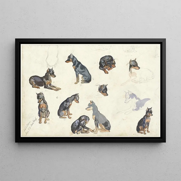 Anna Maria Kruijff - Studies van een hond.webp