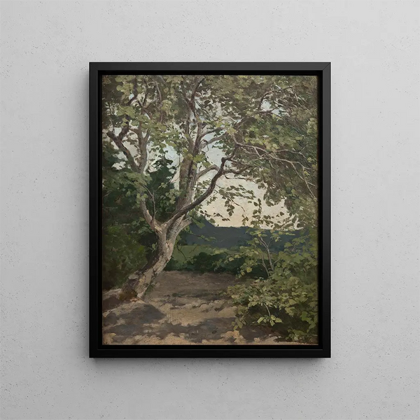 Eine Baumstudie - Anna Nordlander — gerahmtes Bild an der Wand