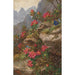 Blumen der Alpen - Anna Stainer-Knittel — Ansicht des Kunstwerks