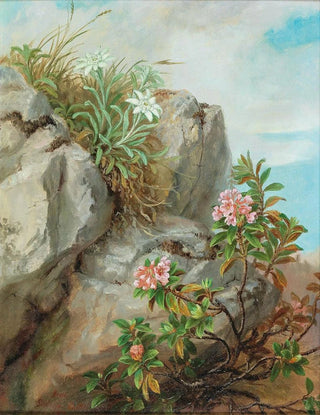 Anna StainerKnittel - Alpine Roses.webp
