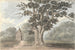 Der Eichenbaum von Königin Elisabeth in der Nähe von Finborough Hall 31. Juli 1824 - Anne Rushout — Ansicht des Kunstwerks