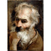 Kopf eines alten Mannes - Annibale Carracci — Ansicht des Kunstwerks