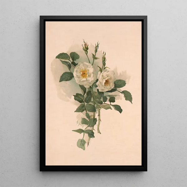 Annie Nowell - White roses on satin.webp