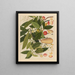 Chinesisches Obst-Aquarell-Album Gemälde Pl05 - Anonym — gerahmtes Bild an der Wand