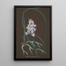 Sammlung von Orchideen Pl37 - Anonym — Ansicht des Kunstwerks