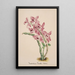 Reproduktion des Gemäldes Sammlung von Orchideen Pl41 - Anonym