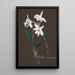 Reproduktion des Gemäldes Sammlung von Orchideen Pl48 - Anonym