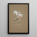 Sammlung von Orchideen Pl53 - Anonym — gerahmtes Bild an der Wand