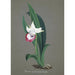 Sammlung von Orchideen Pl54 - Anonym — Ansicht des Kunstwerks