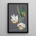 Reproduktion des Gemäldes Sammlung von Orchideen Pl59 - Anonym
